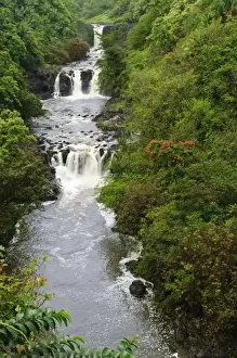 Water Fall Prints: Big Island, Hawaii. Umauma Falls World Botanical Garden Hilo The Big Island Hawaii