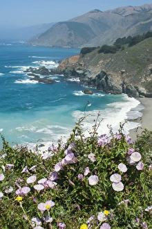 Exploration Prints: Along the Big Sur Coastline, California