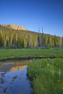 Images Dated 5th August 2010: Big Therriault Creek runs through lush summer meadow below St Clair Peak in the Ten