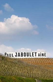 Images Dated 13th April 2005: A big white sign with black letters Paul Jaboulet Aine against a blue sky, in front