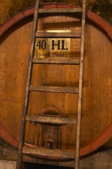 Big wooden vat to store wine, 40 hl hektolitres Joseph Thoret. Ladder leaning against the barrel