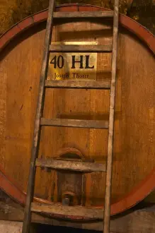 Maturing Prints: Big wooden vat to store wine, 40 hl hektolitres Joseph Thoret