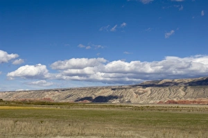 Big Horn Prints: Bighorn Canyon National Recreation Area, Wyoming, USA