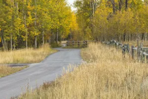 Walking Path Prints: Bike path in autumn, Grand Teton National Park, Wyoming