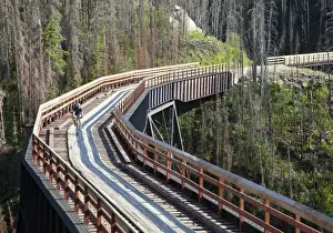 Exercise Prints: Biker rides across trestle in Myra Canyon on the Kettle Valley Railway bike path near Kelowna