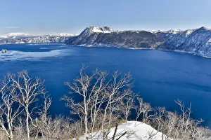 Birch trees along the shoreline of Lake Mashu, Hokkaido, Japan