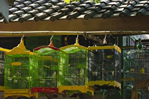 Images Dated 30th July 2015: Bird cages at Ngasem Traditional Bird Market, Yogyakarta, Java, Indonesia