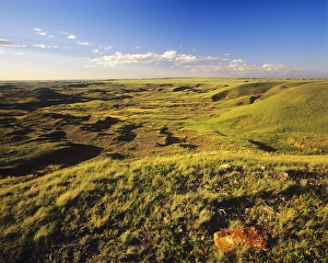 Images Dated 30th October 2012: The Bitter Creek badlands in Valley County, Montana, USA
