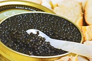 Black caviar and