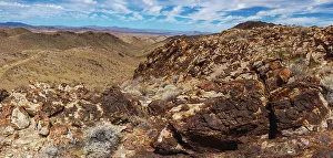 Mojave And Colorado Desert Bios Prints: Black Eagle Mine Road, California
