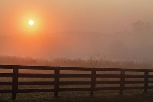 Images Dated 28th January 2024: Black fence on horse farm at sunrise on foggy morning, Oldham County, Kentucky