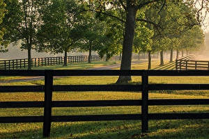 Images Dated 28th January 2024: Black fences on horse farm at sunrise on foggy morning, Oldham County, Kentucky