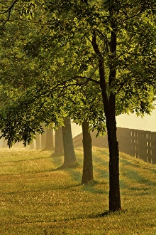 Images Dated 28th January 2024: Black fences on horse farm at sunrise on foggy morning, Oldham County, Kentucky