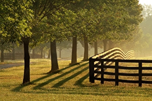 Images Dated 28th January 2024: Black fences on horse farm at sunrise on foggy morning, Oldham County, Kentucky