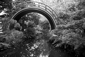 Black and White Arched Bridge in the Japanese Gardens in Golden Gate Park, San Francisco
