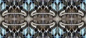Montage Prints: Black, white and blue bold abstract