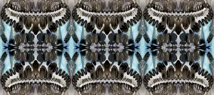 Montage Prints: Black, white and blue bold abstract