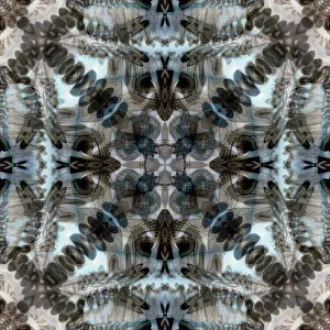 Black, white and blue kaleidoscope abstract