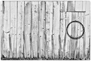 Barbed Wire Prints: Black and White image of old wooden shed with hanging barbwire, Benge, Washington State