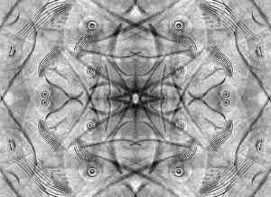 Abstract Collection: Black and white of kaleidoscope abstract