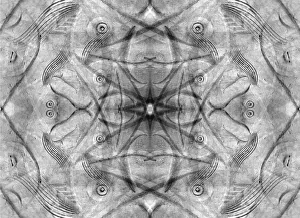 Abstract Collection: Black and white of kaleidoscope abstract