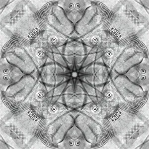 Images Dated 22nd June 2021: Black and white of kaleidoscope abstract