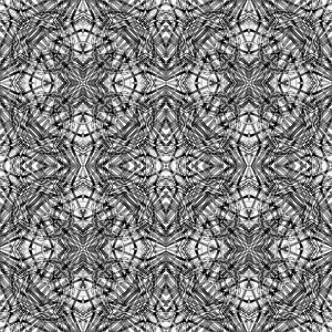 Kaleidoscope Prints: Black and white kaleidoscope abstract