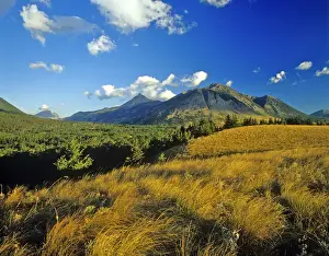 Images Dated 14th May 2010: Blakiston Valley in Waterton Lakes National Park in Alberta Canada