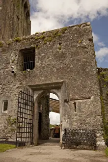 Blarney Castle Prints: The Blarney Castle at the entranve to The Blarney Stone with a single tourist in
