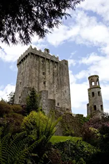 The Blarney Castle framed by colored textured plants under a blue sky with white