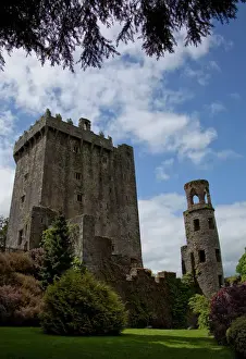 Ireland Prints: The Blarney Castle framed by colored textured plants under a blue sky with white