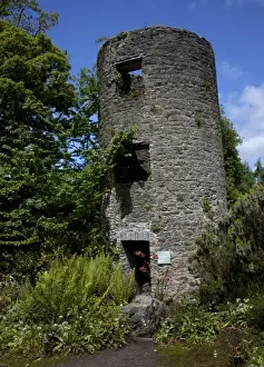Blarney Castle Prints: Blarney Castle ruin in thethe castle garden under a blue sky with white puffy clouds