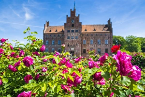 Images Dated 18th June 2014: Blooming roses before Castle Egeskov, Denmark