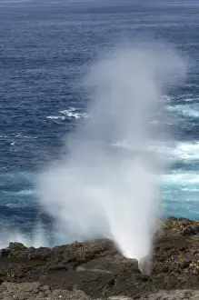 Images Dated 25th February 2006: The Blow Hole along the shoreline of Espanola, Galapagos National Park, Ecuador