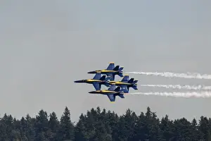 Fair Prints: The Blue Angels, performing at SEAFAIR F / A-18 Hornet aircraft, Seattle, WA