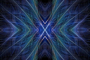 Images Dated 26th June 2010: Blue Bird of Paradise top knot feathers