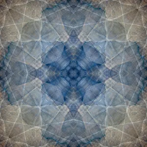 Images Dated 2nd July 2021: Blue and brown abstract