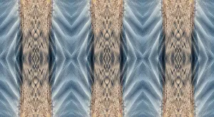 Montage Prints: Blue and brown abstract