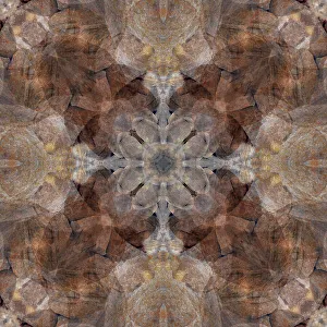 Earth Tone Prints: Blue and brown abstract