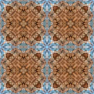Kaleidoscope Prints: Blue and brown kaleidoscope abstract