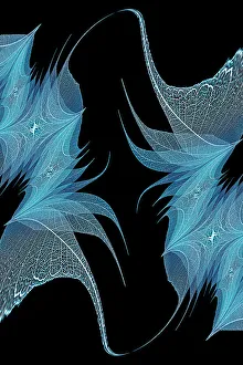 Prints of Blue colored skeleton leaves arranged on black background Images Dated 2022 June: Blue colored skeleton leaves arranged on black background