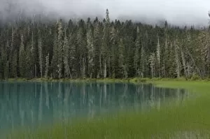 Blue glacial lake in an evergreen forest, British Columbia, Canada