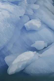 Images Dated 31st January 2016: Blue Ice, Perito Moreno Glacier