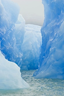 Images Dated 12th November 2007: Blue Icebergs seen on Lago ARGENTINO EXCURSION, Los Glaciares National Park, Punta Bandera