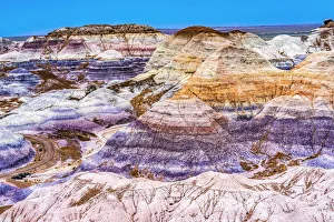Sandstone Prints: Blue Mesa Trail, Painted Desert, Petrified Forest National Park, Arizona