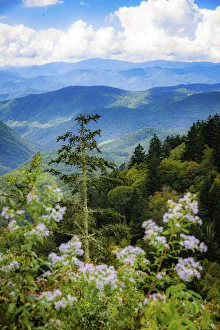 Blue Ridge Parkway vista, Smoky Mountains, USA
