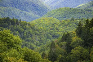 Blue Ridge Parkway vista, Smoky Mountains, USA