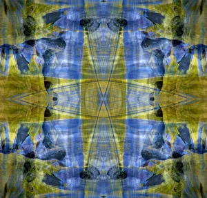 Abstract Prints: Blue and yellow abstract