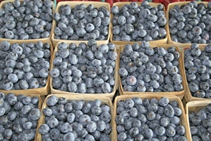 Ripe Prints: Blueberries at farmers market in South Haven Michigan