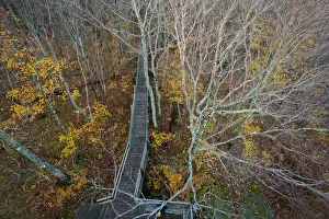 Boardwalk Prints: Boardwalk leads to viewing tower at the Summit Peak Trail in Porcupine Mountains